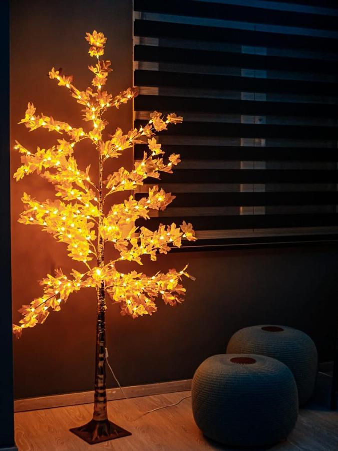 Delmar Aristoteloys 테살로니키 외부 사진